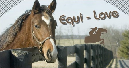 Equi-Love, le slogant du site